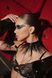 BLACK SWAN PERSONAGES SWAN фото 5