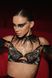 BLACK SWAN PERSONAGES SWAN фото 6