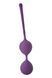 Вагінальні кульки Dream Toys FLIRTS фіолетові DT21998 фото 3