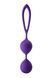 Вагінальні кульки Dream Toys FLIRTS фіолетові DT21998 фото 1
