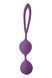 Вагінальні кульки Dream Toys FLIRTS фіолетові DT21998 фото 2